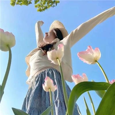 我的情敌女婿